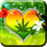 Logo of One Love android Application 